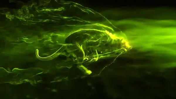 A panther formed from streaks of green energy leaping across a black background.